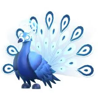FR Moonbeam Peacock