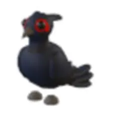 NFR Black Chested Pheasant