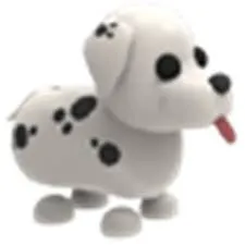 NFR Dalmatian
