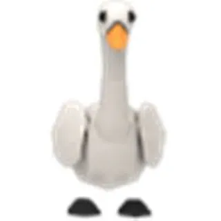 MFR Swan
