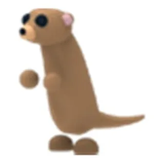 MFR Meerkat