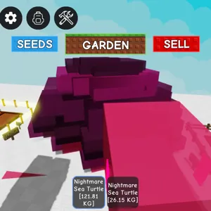 NM SEATURTLE 2  PACK