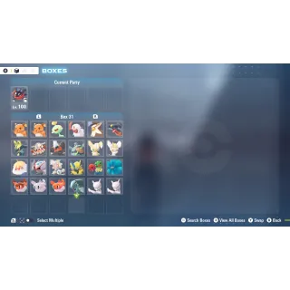 6IV Battle Ready Mega New Comers Bundle All 24 are lvl 100 for Pokemon Legends ZA + free Golden Bottle cap