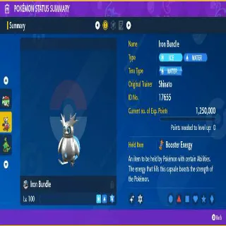 Shiny Iron Bundle ✨ Battle Ready Max Stats