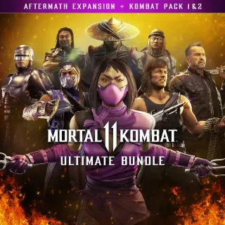 Mortal Kombat 11 Ultimate Add On