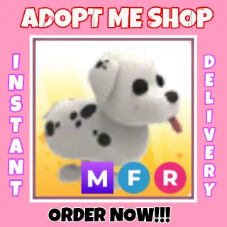 MFR Dalmatian 