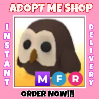 MFR Owl