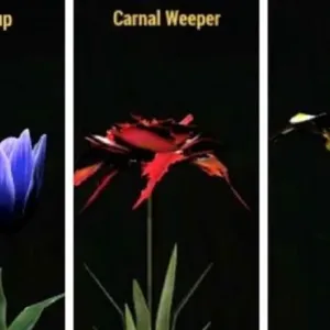 pot o flowers bundle