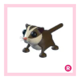 ride sugar glider