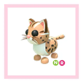 nr leopard cat