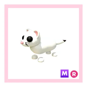 mr ermine