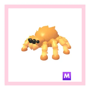 mega jumping spider