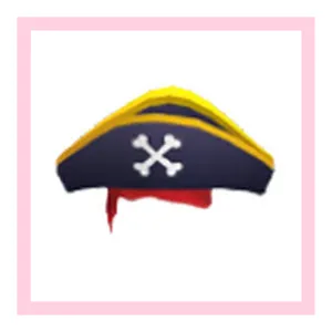 pirate hat
