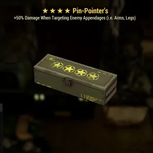 Pin Pointer’s Mod