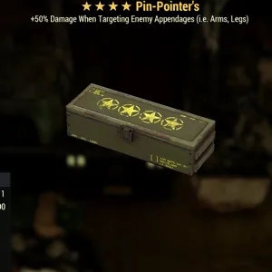 Pin Pointer’s Mod