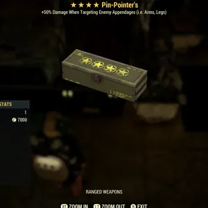 Pin Pointer’s Mod