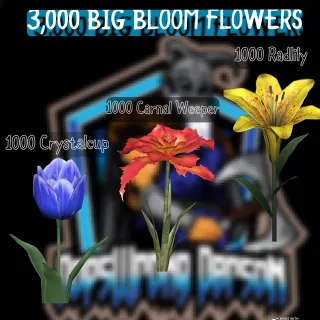 3000 BIG BLOOM FLOWERS