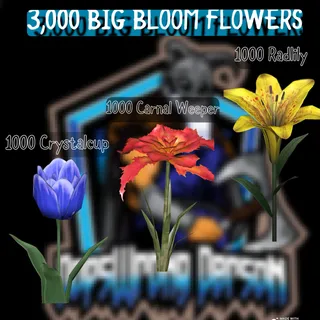 3000 BIG BLOOM FLOWERS