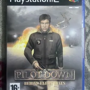Pilot Down : Behind Enemy Lines 