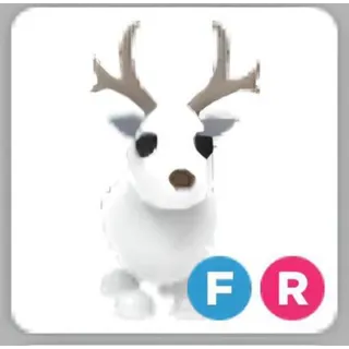 Arctic Reindeer | Fly Ride