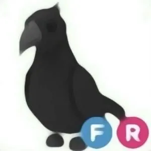 Crow | Fly Ride