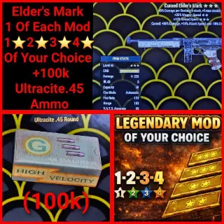 Elder's Mark+1of Each Mod+100k Ammo