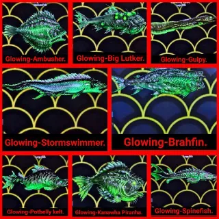 Glowing Fish Set x8