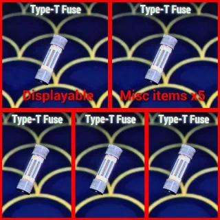 x5 Type T Fuse's