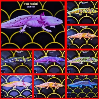 Axolotl Set x9