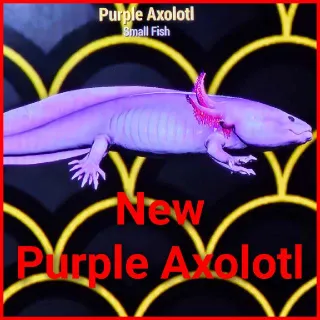 Purple Axolotl