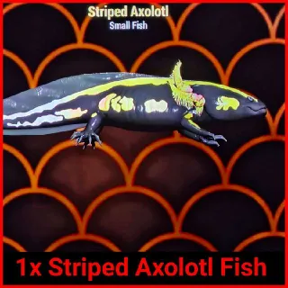 🐠Stripped Axolotl X1🐠
