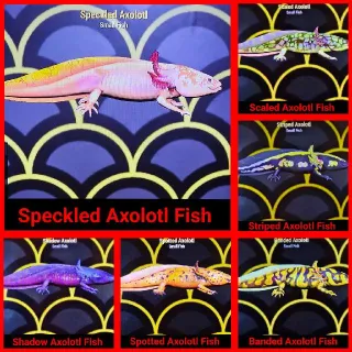 Axolotl Full Set x6