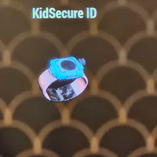 Kids Secure Id Braclet