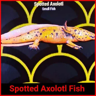 Spotted Axolotl Fish