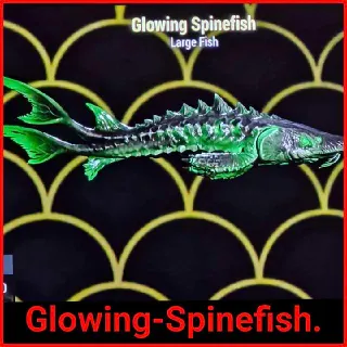Glowing Spinefish