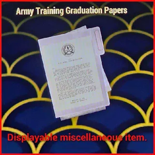 Army Training Graduation