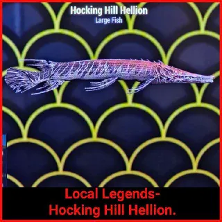 Local Legend-Hocking Hill Hellion