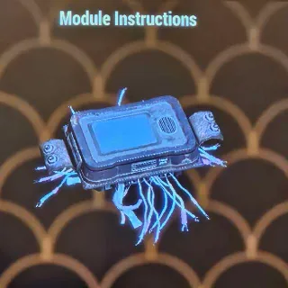 Module Instructions