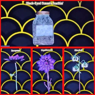 Suzanne Soothin Ingredients x500