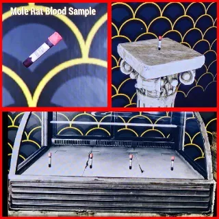 Legacy Mole Rat Blood Sample