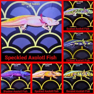 Axolotl Fish Set x6