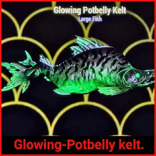1x Glowing Potbelly Kelt