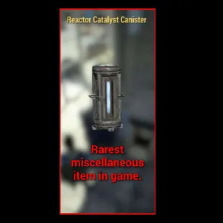 Reactor Catalyst Caniste