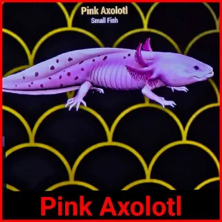 Pink Axolotl