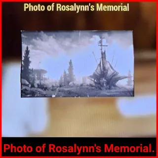 Photo Of Rosalynn's Memorial