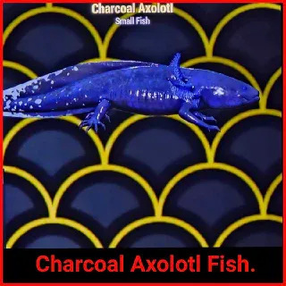 Charcoal Axolotl