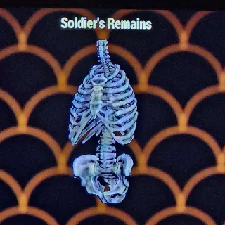 Soldiers Remains