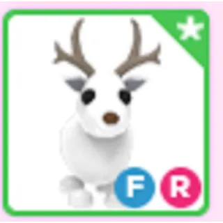 FR ARCTIC REINDEER - ADOPT ME