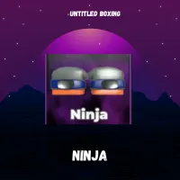 NINJA - UNTITLED BOXING