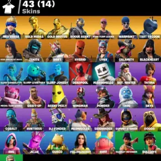 Fortnite OG Account - 43 skins | OG STW | Neo Versa | Gold Midas | Gold Brutus | Rogue Agent | Tart Tycoon